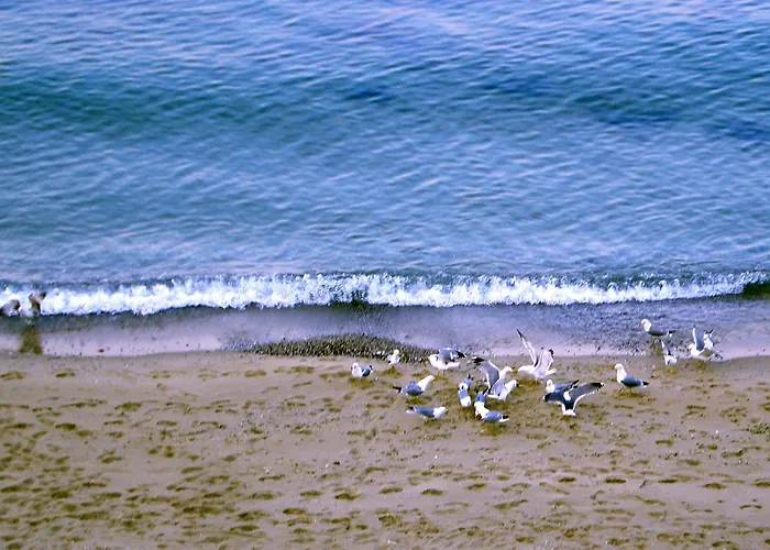 Morski Briag Goldstrand