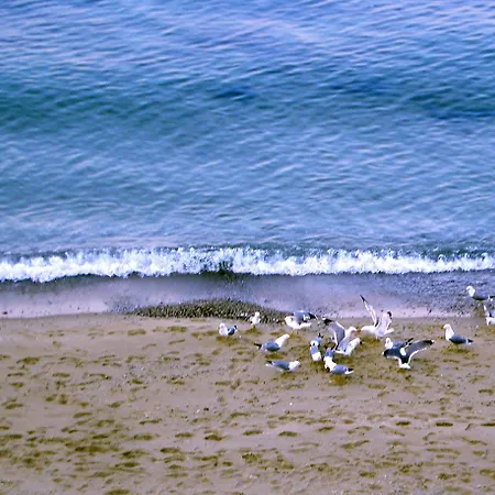 Morski Briag Złote Piaski