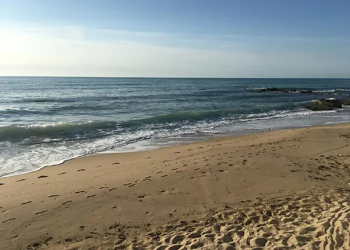 מלון Morski Briag